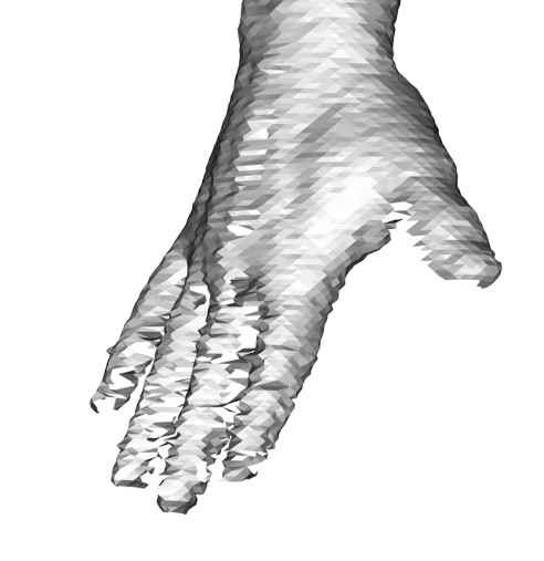 Raw Hand Detail