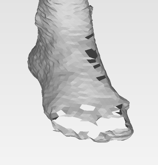 Original CAESAR Full Body